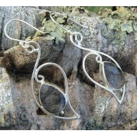 Black Rutilated Quartz Earrings