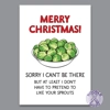 Merry Christmas! Sorry I Can't Be There - Funny Christmas Card