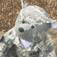Military Keepsake Bear