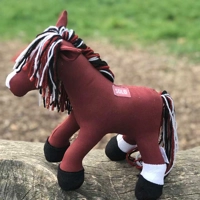 Pet memorial pony