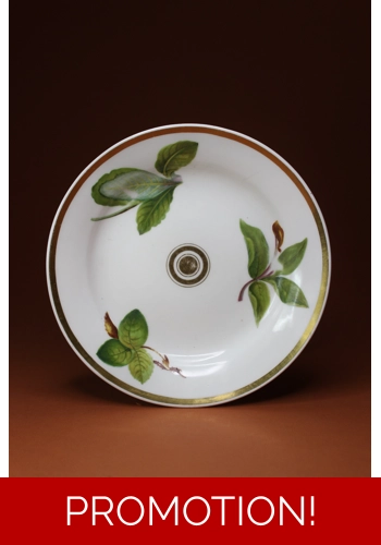 Swansea Side Plate with Uncommon Pattern of Leaves