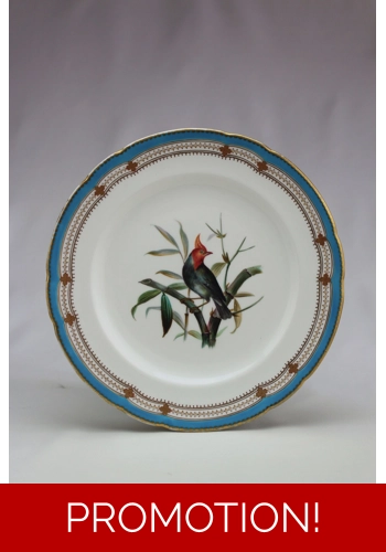 SOLD  Minton plate hand painted with an exotic bird