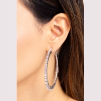 Scintillating Sass - Multi