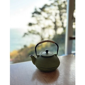 Japanese Style Tetsukyu..