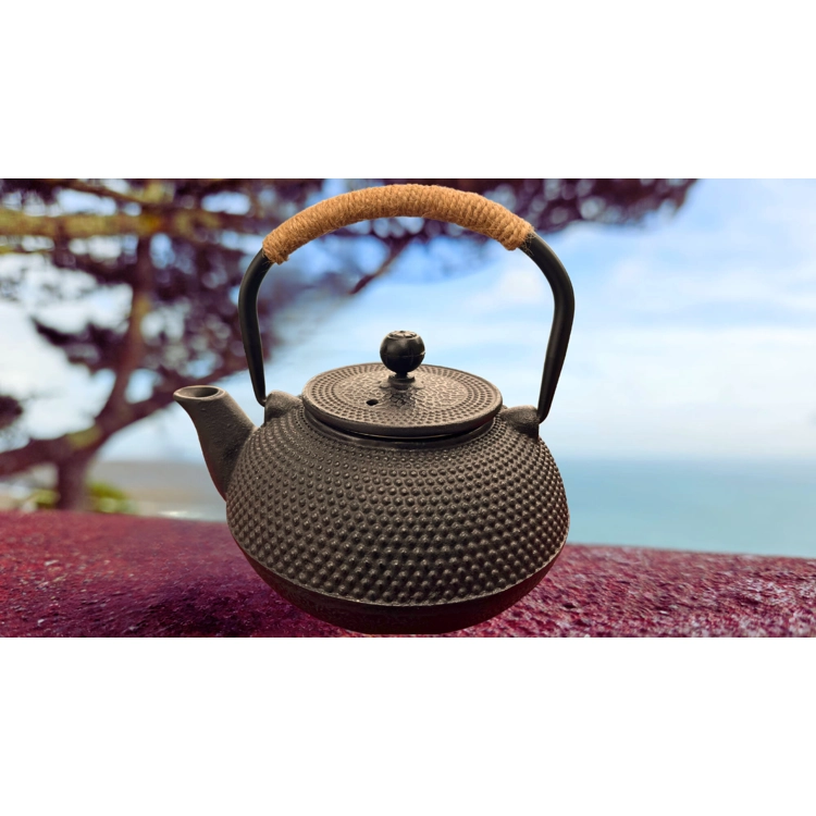 Japanese Style Tetsukyusu Te..
