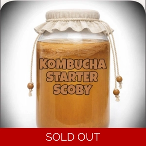 SCOBY for Brewing Kombu..
