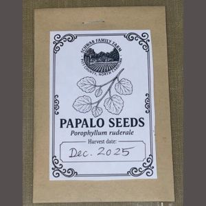 Papalo (Porophyllum ruderale) – Garden Herb Seeds