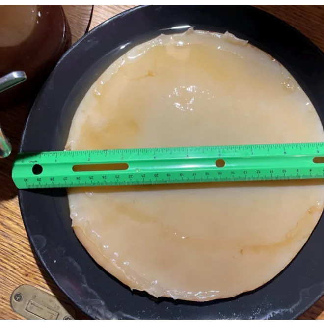Additional Image for Jumbo Size Kombucha SCOBY
