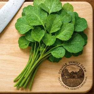 Papalo (Porophyllum ruderale) 100+ seeds – Garden Herb Seeds