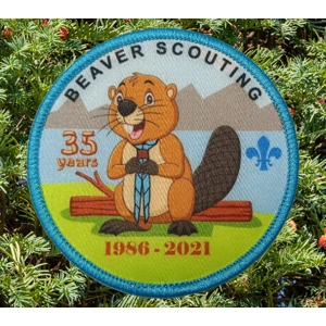 35 years of Beaver Scouting ..