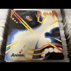 Def Leppard - Animal 12