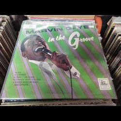 Marvin Gaye - In The Gr..