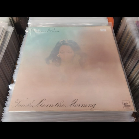 Diana Ross - Touch Me in The Morning lp