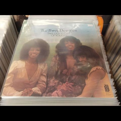 The Three Degrees - Take Good Care of Yourself lp