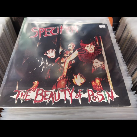 Specimen - The Beauty of Poison 12"