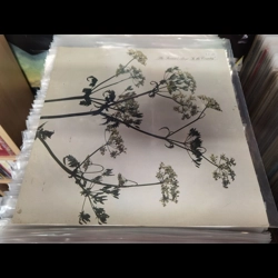 The Farmers Boys - In T..