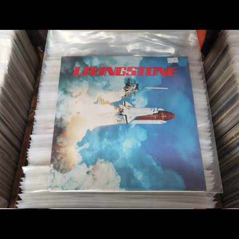 Livingstone - Good Intentions 10"