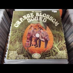 Orange Blossom Sound - ..