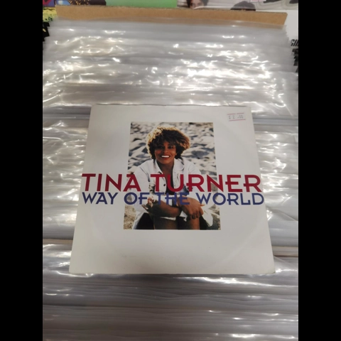Tina Turner - I don't wanna lose you 7"
