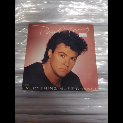 Paul Young - Everything must change 7"