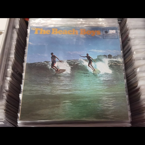 The Beach Boys - The Beach Boys LP