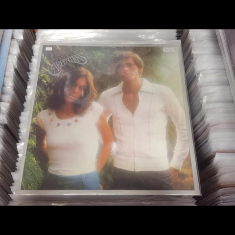 Carpenters - Horizon lp