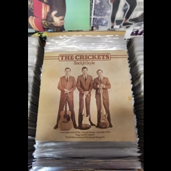 The Crickets - Back in .. The Crickets - Back in ..