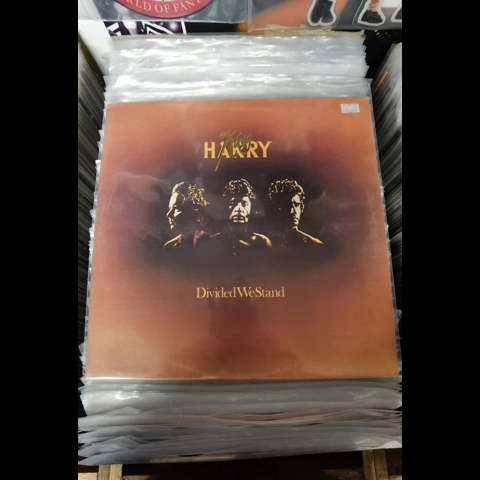 King Harry - Divided We Stand lp King Harry - Divided We Stand lp