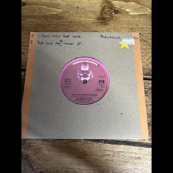 The Modulations - I Can..