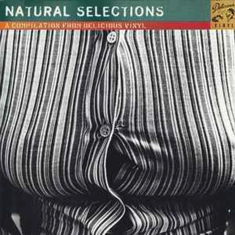 Various - Natural Selections CD Album (a compilation from delicious vinyl)