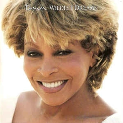 Tina Turner - Wildest D..