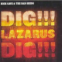 Nick Cave & The Bad See..