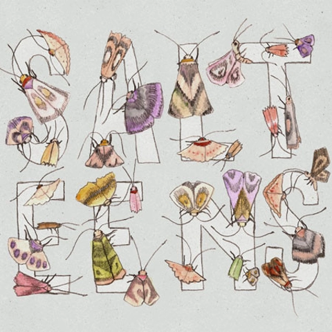 The Salteens - Moths CD EP