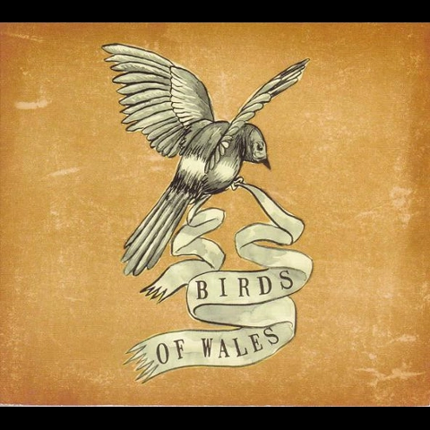 Birds of Wales - Fall of The 49 CD Album
