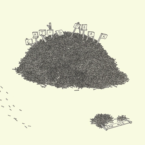 The Silts - Cat's Peak CD Album