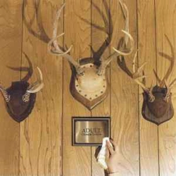 Adult - Gimmie Trouble ..