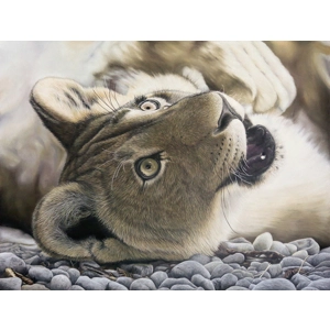 Lion Around - Ltd. Edition Giclée Print