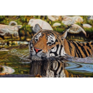 Cooling Off - Ltd. Edition Giclée Print