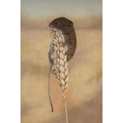 Hanging Around - Open Edition Giclée Print