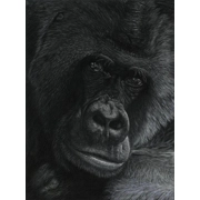 Quiet Contemplation - Open Edition Giclée Print