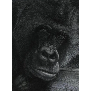 Quiet Contemplation - Open Edition Giclée Print