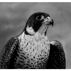 The Watcher - Ltd. Edition Giclée Print