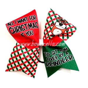 All I Want For Christmas Is ..