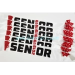 Two Color Senior Sash