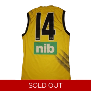 Richmond Tigers 2018 Player Worn Training Jersey - HOULI - Large (fc2b)