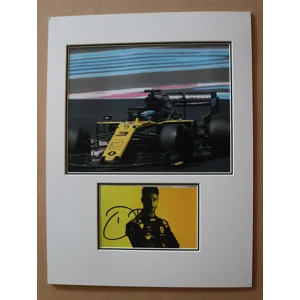0F1S Daniel Ricciardo Signed Piece (SH8)