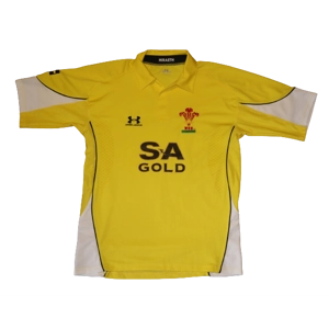 Wales Rugby 2009 Alternate Jersey - Medium (bx4)