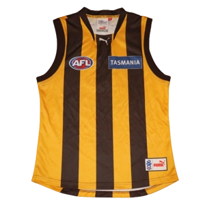 Hawthorn Hawks 2008 Home Jersey - XL (sh5)