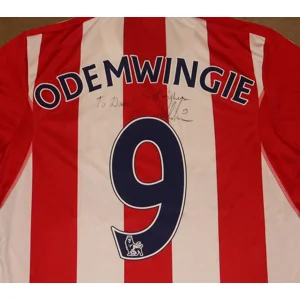 Stoke City 2013-14 Home Shirt - ODEMWINGIE - Large (bx08)