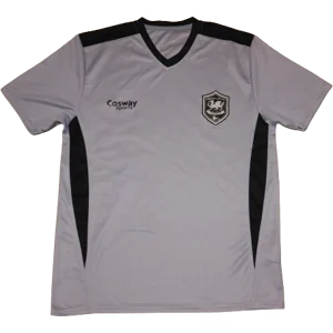 Cardiff City 2014-15 Training Shirt - Large (bx01)x